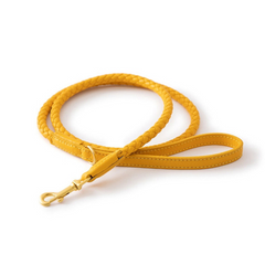 Braided Leather Dog Leash โ 4 Colors