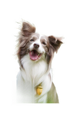 Colgante LED para collar de perro