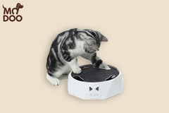 Electric Interactive Cat Toy with Plush Mouse – 2-Speed Rotating Teaser for Playful Cats