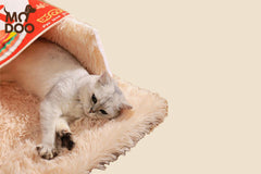 Rectangular Fully Enclosed Cat Bed – Biscuit Box Design Pet House for Cats and Dogs, Secure & Cozy All-Season Pet Bed