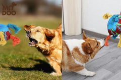 Rainbow Twist Candy Dog Chew Toy - Squeaky, Durable, and Teething-Resistant Pet Supplies for Aggressive Chewers (Vibrant Colors, Noise-Making Fun, Non-Toxic Material