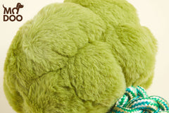 Creative vegetable dog toy