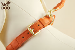Braided Leather Dog Collar β 4 Colors
