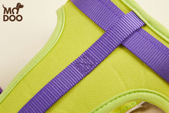 Suger Series Dog Collars Harness