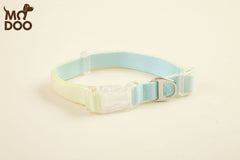 Iridescent LED Dog Collar