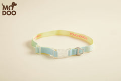 Iridescent LED Dog Collar