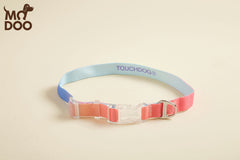 Iridescent LED Dog Collar