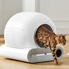 Modoopets Automatic cat litter box